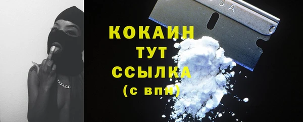 гидропоника Белокуриха