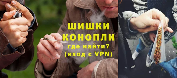 гидропоника Белокуриха