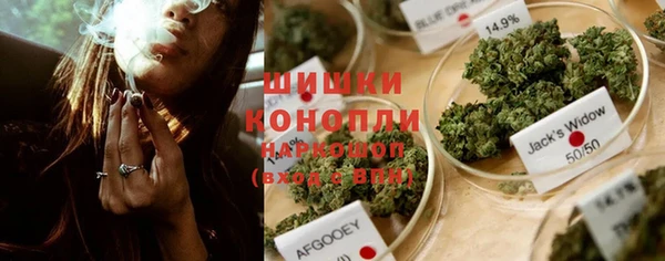 гидропоника Белокуриха