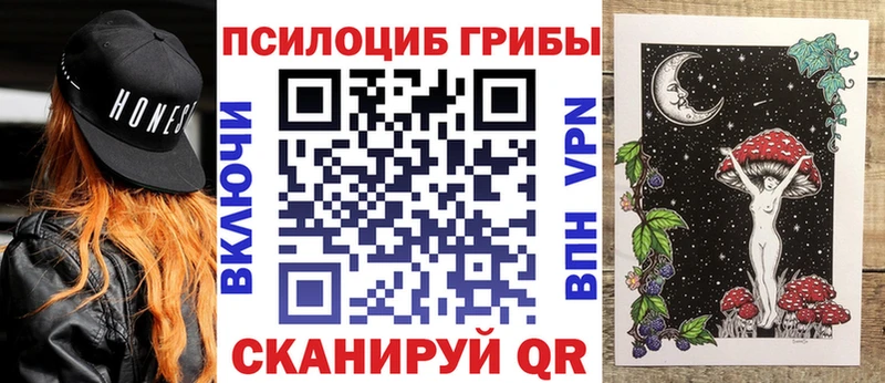 купить закладку  Светогорск  Галлюциногенные грибы прущие грибы 
